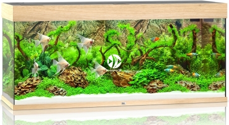 JUWEL Rio 240 LED (03350) - Akwarium z pełnym wyposażeniem bez szafki, 5 kolorów do wyboru Jasne drewno (dąb)