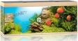 JUWEL Rio 450 LED (05350) - Akwarium z pełnym wyposażeniem bez szafki, 5 kolorów do wyboru Jasne drewno (dąb)