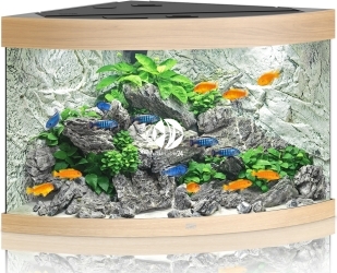 JUWEL Trigon 190 LED (16350) - Akwarium z pełnym wyposażeniem bez szafki, 3 kolory do wyboru Jasne drewno (dąb)