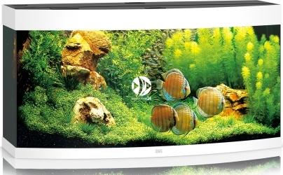 JUWEL Vision 260 LED (06350) - Akwarium z pełnym wyposażeniem bez szafki, 3 kolory do wyboru Biały
