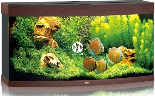 JUWEL Vision 260 LED (06350) - Akwarium z pełnym wyposażeniem bez szafki, 3 kolory do wyboru