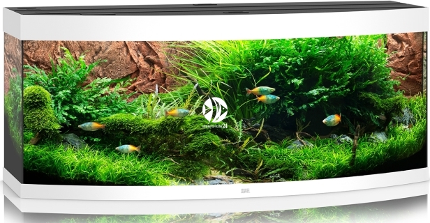 JUWEL Vision 450 LED (2x belka) - Akwarium z pełnym wyposażeniem bez szafki, 3 kolory do wyboru