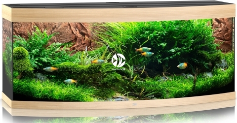 JUWEL Vision 450 LED (2x belka) - Akwarium z pełnym wyposażeniem bez szafki, 3 kolory do wyboru Jasne drewno (dąb)