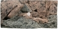 Back To Nature Rocky (03000015) - Tło strukturalne z motywami skalnymi  do akwarium