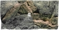Back To Nature Rocky (03000015) - Tło strukturalne z motywami skalnymi  do akwarium 80x40cm
