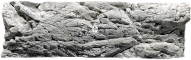 Malawi White (03000039) - Tło strukturalne z motywami skalnymi do akwarium
