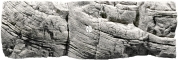 Tanganyika White (03000046) - Tło strukturalne z motywami skalnymi do akwarium 200x60cm