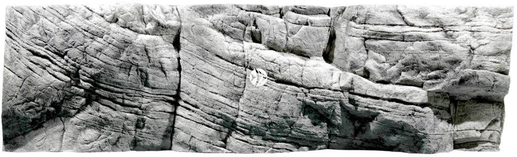 Back To Nature Tanganyika White (03000046) - Tło strukturalne z motywami skalnymi do akwarium