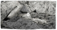 Back To Nature River (03000127) - Tło strukturalne z motywami skalnymi do akwarium 100x50cm