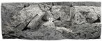 Back To Nature River (03000127) - Tło strukturalne z motywami skalnymi do akwarium 80x40cm