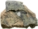 Back To Nature Rock module F (03000054) - Moduł, ozdobny kamień, skała do akwarium lub terrarium Basalt/Gneiss