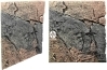 Slim Line Basalt/Gneiss 60A 50x55cm