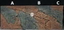 Back To Nature Slim Line Basalt/Gneiss (03000096) - Płaskie tło modułowe z motywem skalnym do akwarium i terrarium