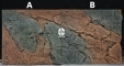 Back To Nature Slim Line Basalt/Gneiss (03000095) - Płaskie tło modułowe z motywem skalnym do akwarium i terrarium