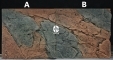 Slim Line Basalt/Gneiss (03000096) - Płaskie tło modułowe z motywem skalnym do akwarium i terrarium
