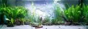 Back To Nature Slim Line River (03000112) - Płaskie tło modułowe z motywem skalnym do akwarium i terrarium