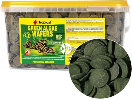 TROPICAL Green Algae Wafers - Roślinne, tonące wafelki ze spiruliną dla glonojadów