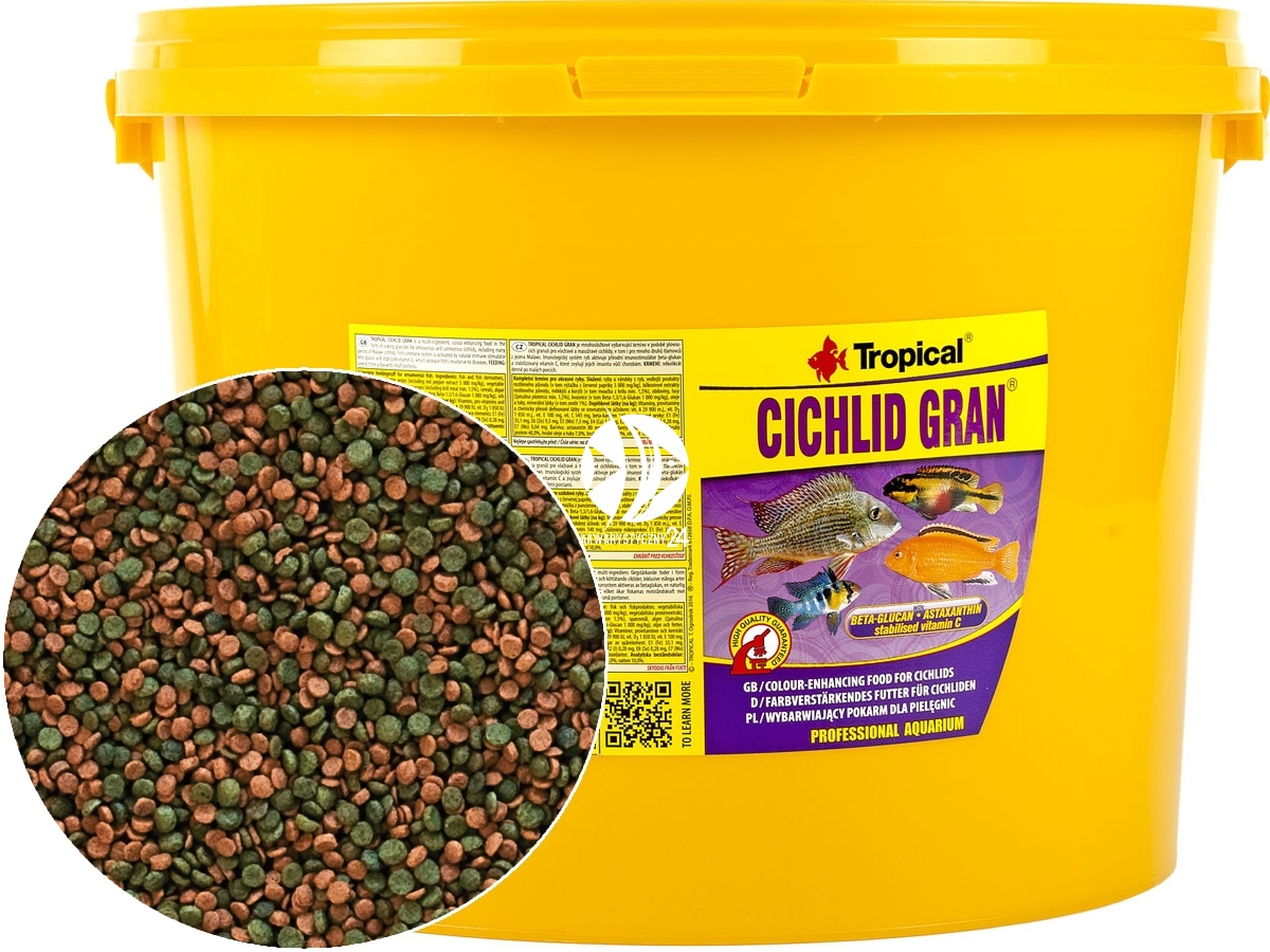 Tropical cichlid gran top