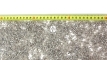 AQUA DELLA Gravel Quartz Grey (257-447635) - Naturalny żwir o drobnej granulacji (2-3mm) w odcieniach szarości.