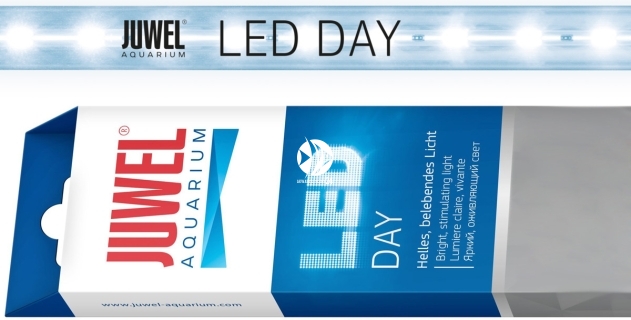 JUWEL Day LED (86804) - Świetlówka LED (9000K) do belek oświetleniowych MultiLux LED o jasnym, dziennym świetle