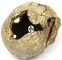 AQUA DELLA Skull-L (236-104309) - Czaszka, dekoracja do akwarium