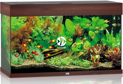 JUWEL Rio 125 HeliaLux Spectrum - Akwarium z pełnym wyposażeniem bez szafki, 5 kolorów do wyboru