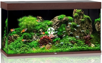 JUWEL Rio 350 HeliaLux Spectrum (2x belka) (07350HLSX2) - Akwarium z pełnym wyposażeniem bez szafki, 5 kolorów do wyboru Ciemne drewno