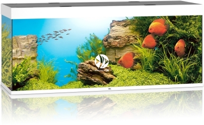 JUWEL Rio 450 LED (2x belka) (05350X2) - Akwarium z pełnym wyposażeniem bez szafki, 5 kolorów do wyboru Biały