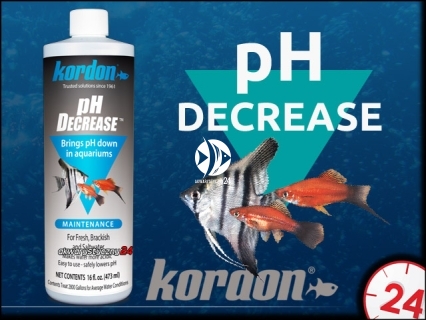 KORDON (Termin: 11.2021)  pH Decrease 118ml - Preparat do obniżania odczynu pH