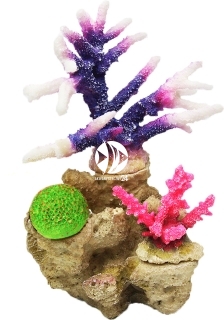 AQUA DELLA Zestaw - Moduł Bazowy S z Koralowcami - Zawiera: Coral Reef S, 3 Korali