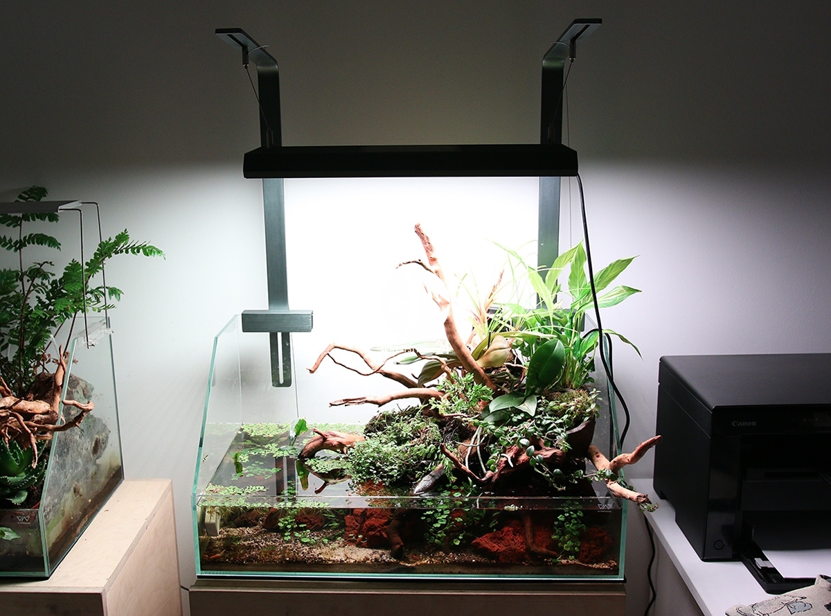 Chihiros_LED-RGB-VIVID-2Live7.jpg