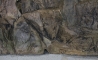 ATG (Uszkodzone 10) Tło Standard 100x40cm (ST100x40) - Tło uniwersalne do akwarium, zawiera motywy skał i korzeni