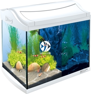 TETRA AquaArt LED Shrimp 20L Biały (T244863) - Zestaw nano akwarium, krewetkarium o pojemności 20l.
