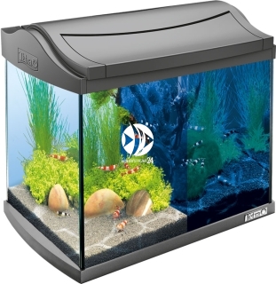 TETRA AquaArt LED Shrimp 20L Altracyt (T239845) - Zestaw nano akwarium, krewetkarium o pojemności 20l.