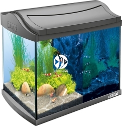 AquaArt LED Shrimp 20L Altracyt (T239845) - Zestaw nano akwarium, krewetkarium o pojemności 20l.