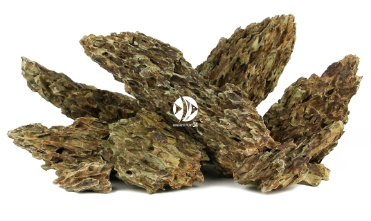 ROTALA Dragon Premium Stone 1kg (RDS001) - Skała o porowatej wyjątkowej strukturze