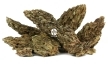 <b>15x</b> Dragon Premium Stone 1kg