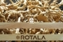 ROTALA Red Moor Premium Wood 1 kg (RRMW01) - Dekoracyjne korzenie do akwarium roślinnego