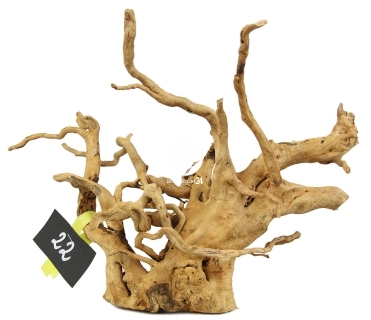 ROTALA Premium Red Moor Wood nr 22 (szt) - Dekoracyjny korzeń do akwarium roślinnego