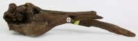 ROTALA Premium Dark Old Wood nr 16 (szt) - Ciemny, dekoracyjny korzeń do akwarium